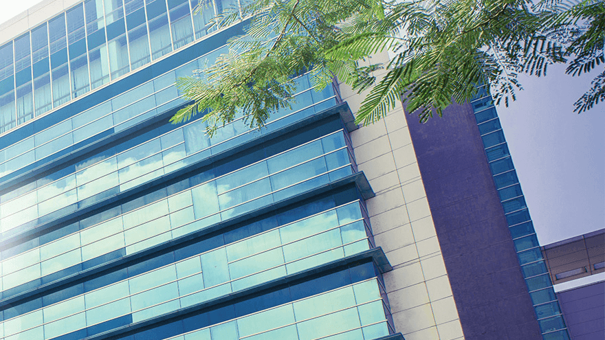 Glass-fronted PSMC building with tree branches in the foreground, from the Powerchip company website
