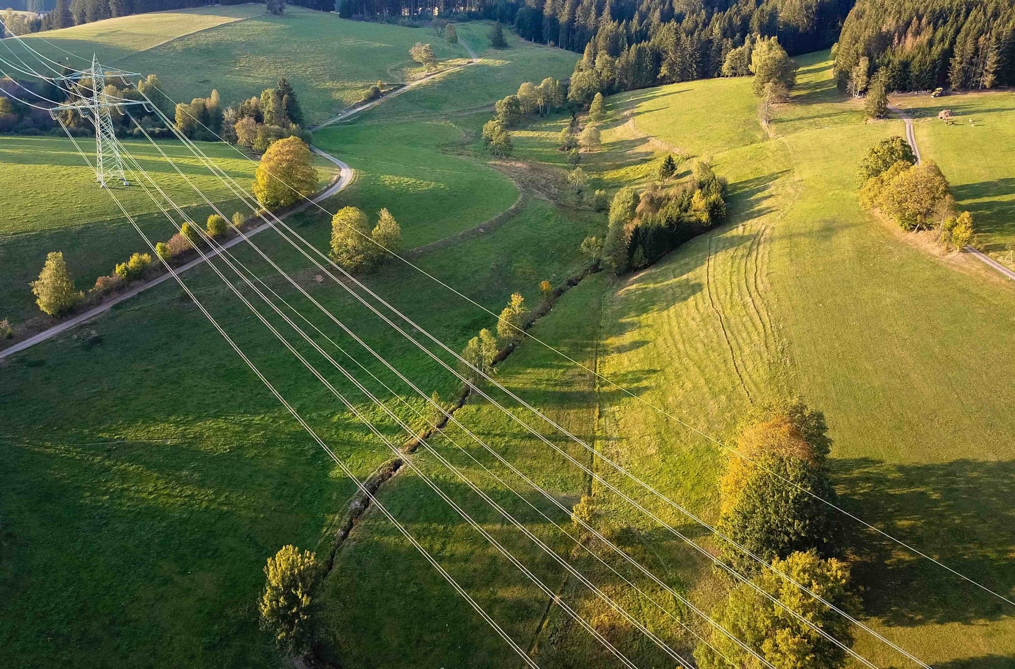 Aerial view of high-voltage power lines and a pylon crossing green hills and meadows, from Ingrid Capacity's website