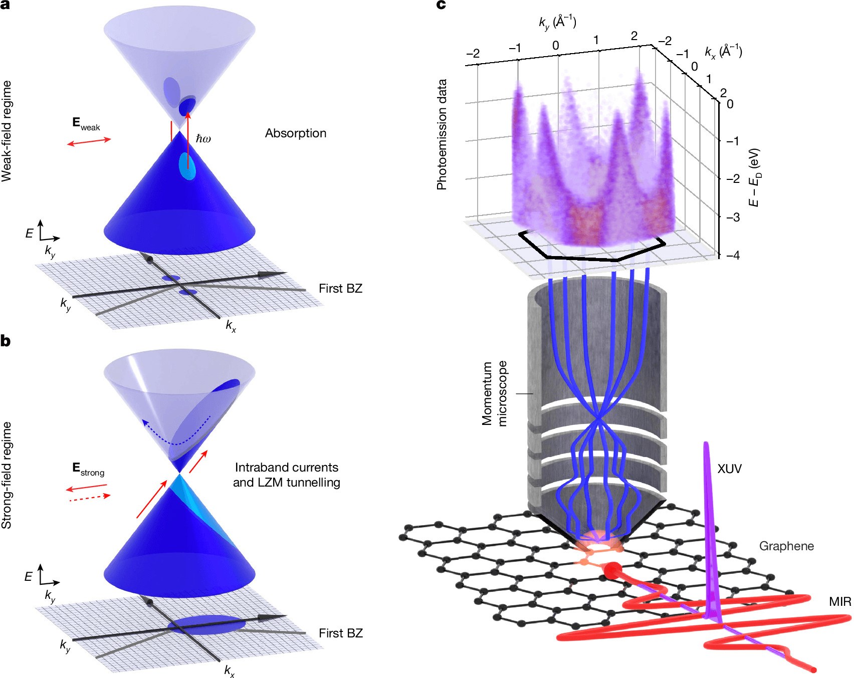 Figure from the Nature paper: electron cones in graphene under weak and strong light fields, and the momentum microscope setup